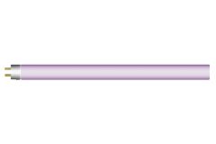 Purple_Plus_1920x1280